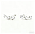 S925 Sterling Silver Zircon Stud Earrings