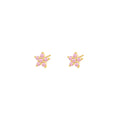 S925 Sterling Silver Colorful Zircon Stud Earrings