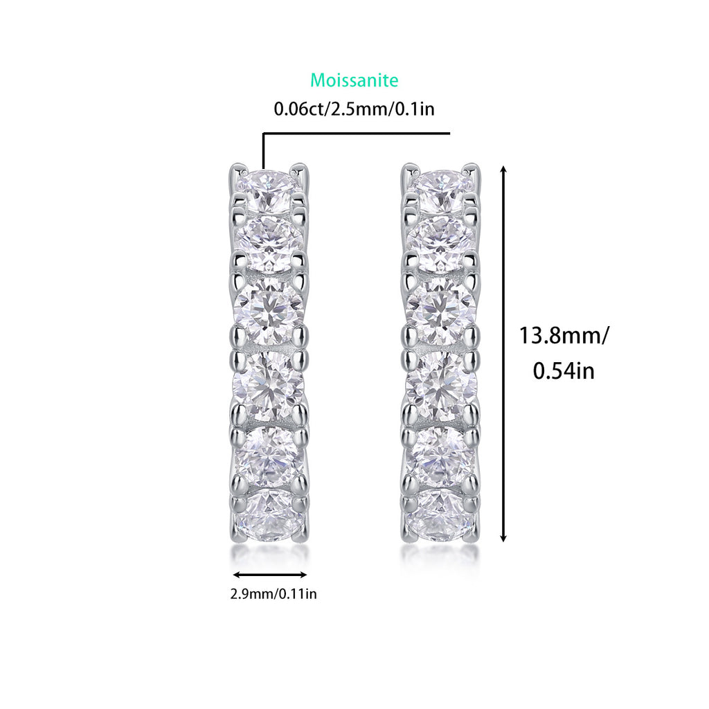 S925 Silver Earrings with Elaborate Moissanite Inlay 