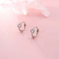 925 sterling silver earrings - silvery