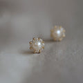 S925 pure silver freshwater pearl earrings