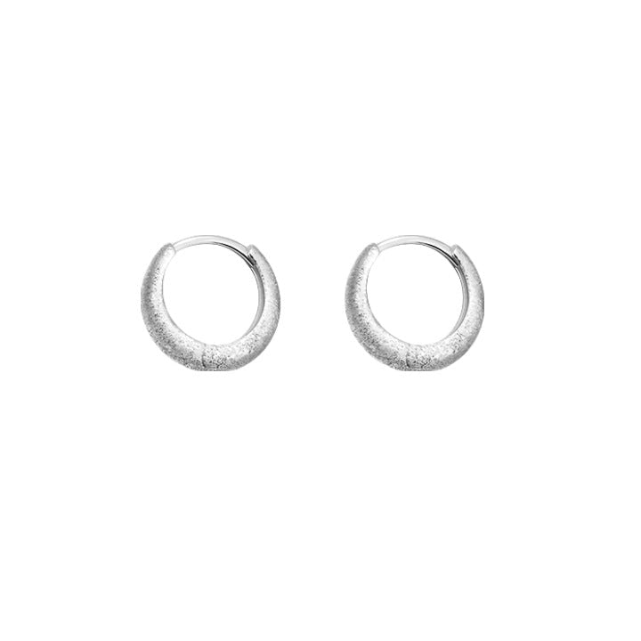 S925 sterling silver super sparkling earrings - silvery