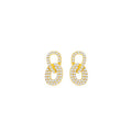 S925 sterling silver sparkling zirconium earrings - golden
