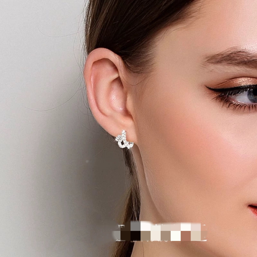 S925 Sterling Silver Moissanite Earrings