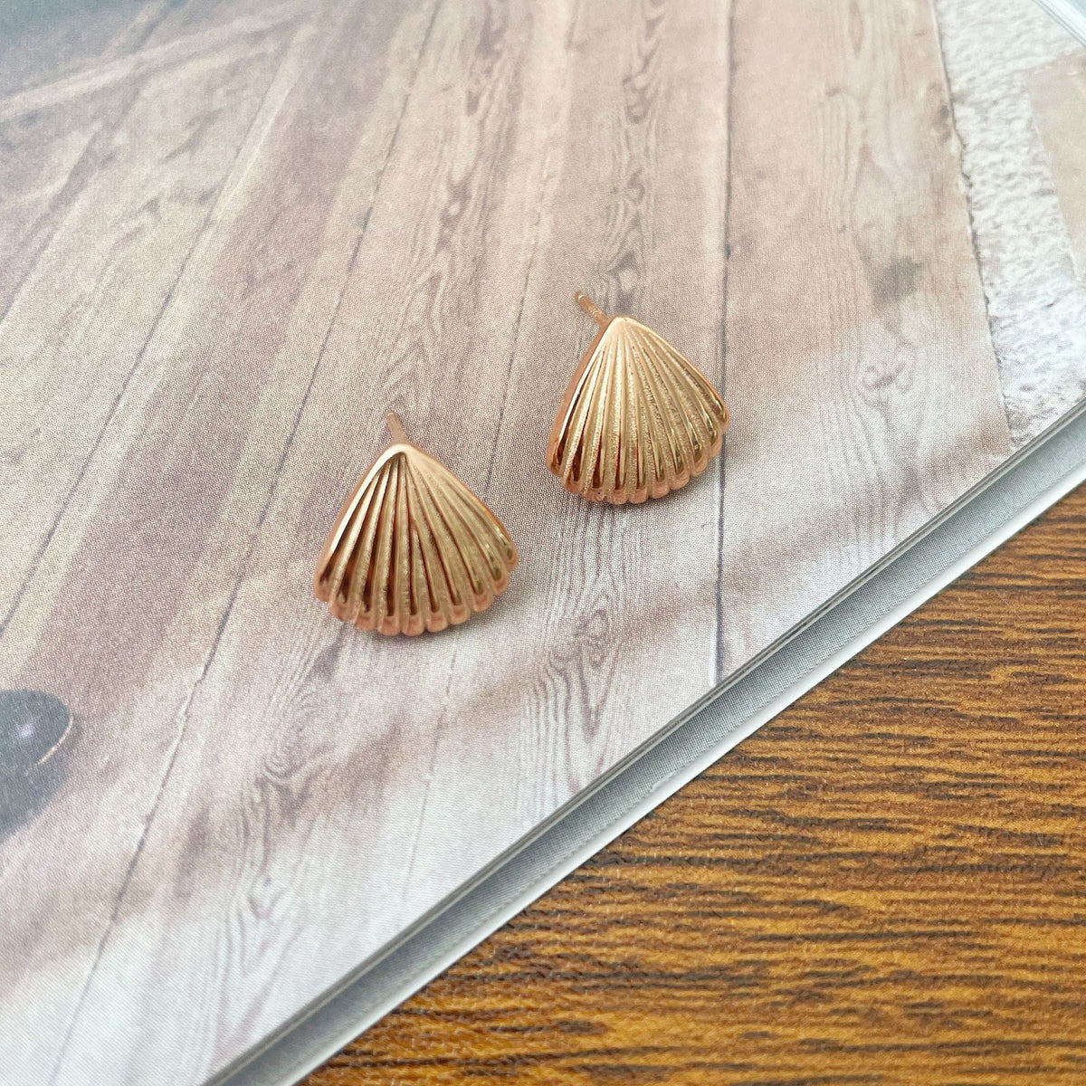 925 sterling silver shell shaped earrings