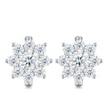 S925 Silver Moissanite Earrings – Sweet Style