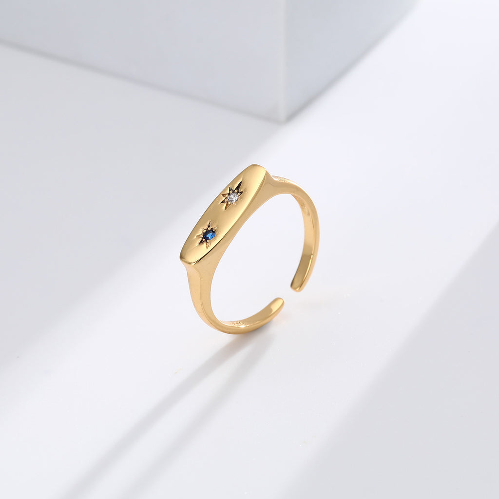 Popular S925 sterling silver rings in Europe and America, featuring niche designs