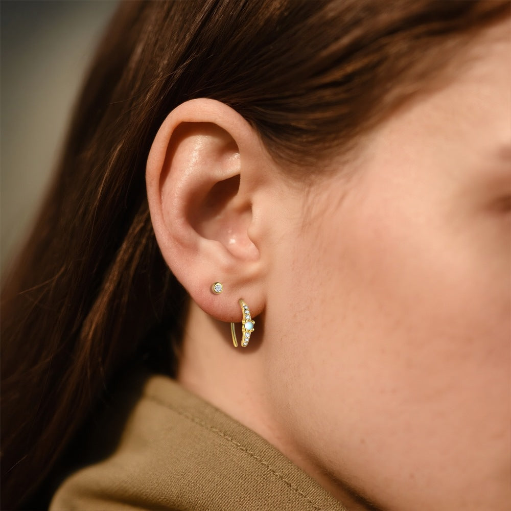 S925 Sterling Silver Zircon Earrings