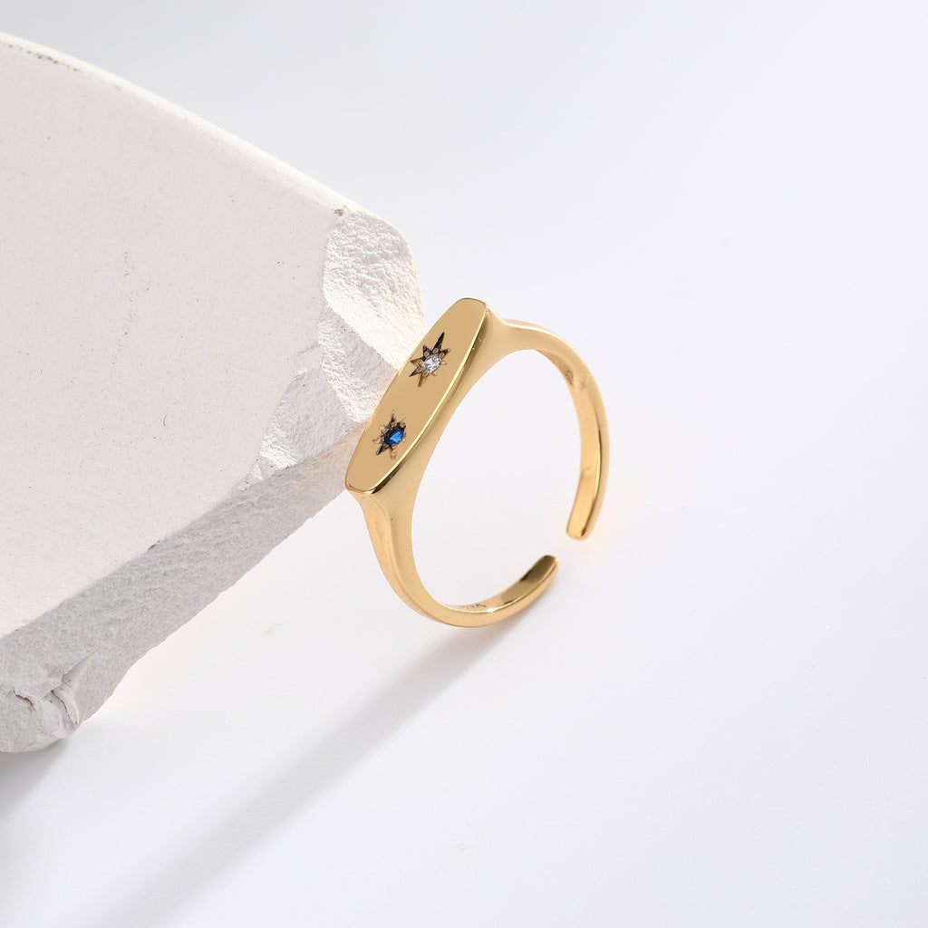 Popular S925 sterling silver rings in Europe and America, featuring niche designs