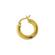Gold Plated earrings [single]