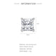 Style 2 / Silver