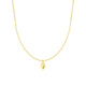 YCN527 / Golden