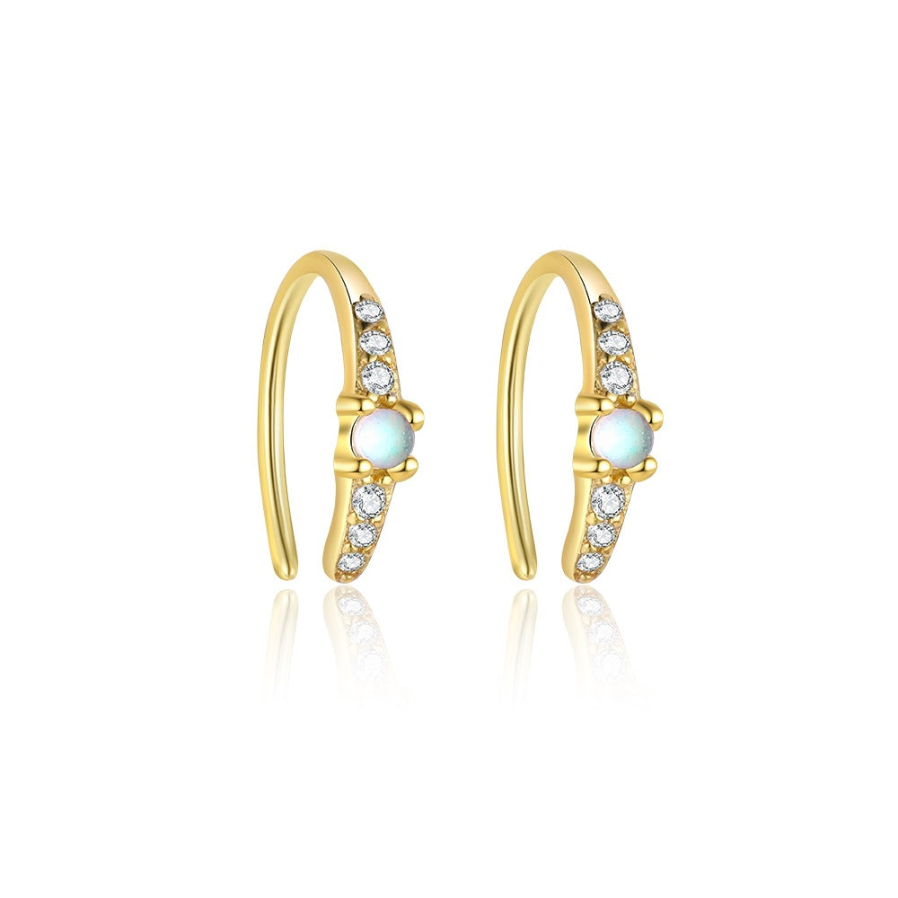 Slim 12mm Zircon Earrings
